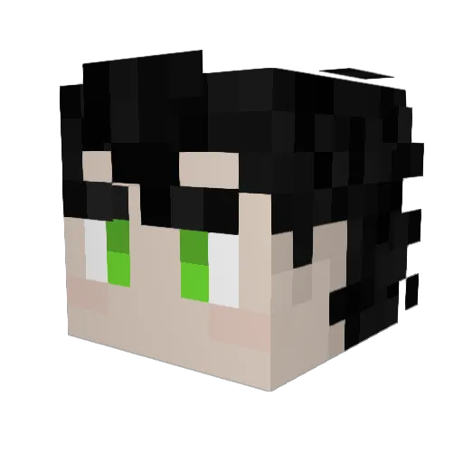 HankeryTankery Minecraft avatar head, 3D render