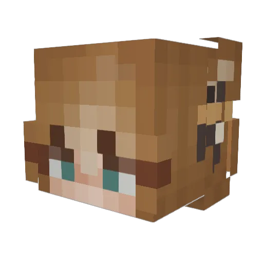 Hankiwis Minecraft avatar head, 3D render