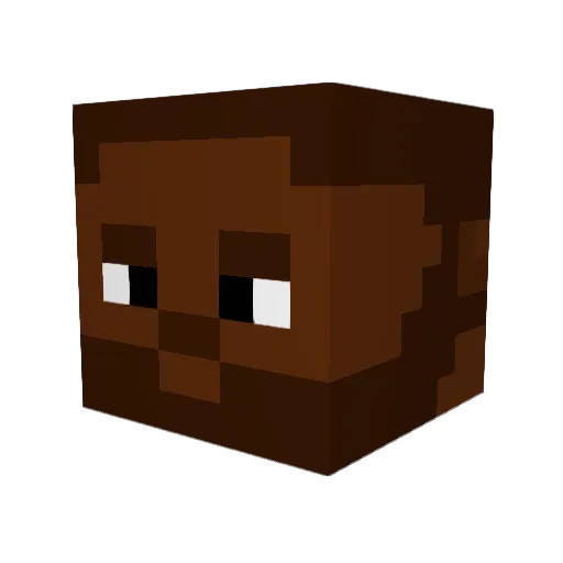 HankoZ Minecraft avatar head, 3D render