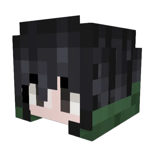 HankxTv Minecraft avatar head, 3D render