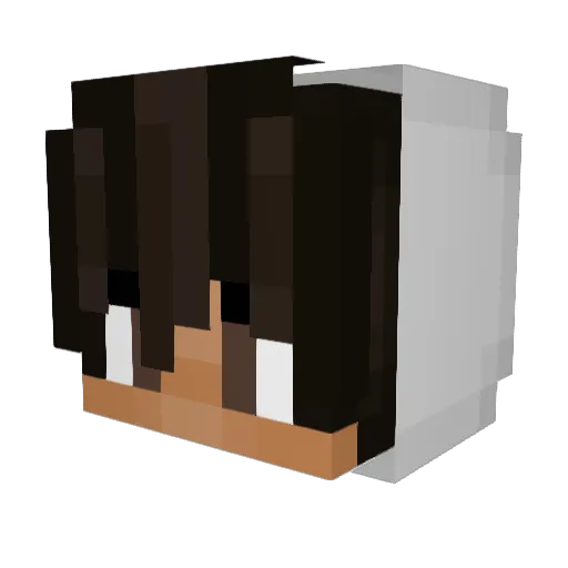 Hankz Minecraft avatar head, 3D render