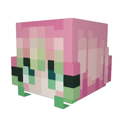 HannCannon Minecraft avatar head, 3D render