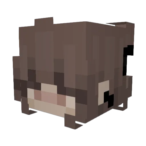 HannN1707 Minecraft avatar head, 3D render