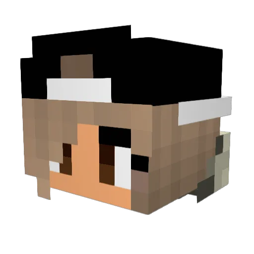 Hanna246 Minecraft avatar head, 3D render