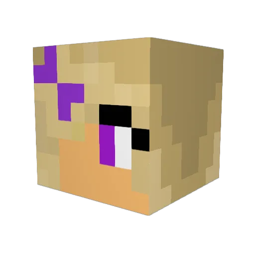 Hannah1607 Minecraft avatar head, 3D render