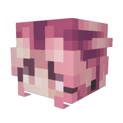 Hannah20089 Minecraft avatar head, 3D render
