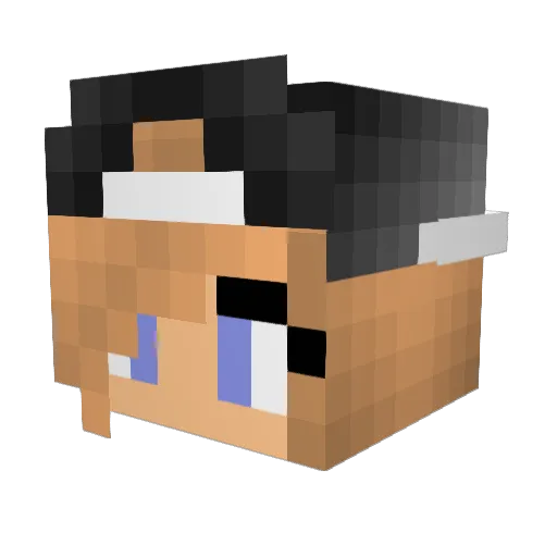 Hannah2102 Minecraft avatar head, 3D render