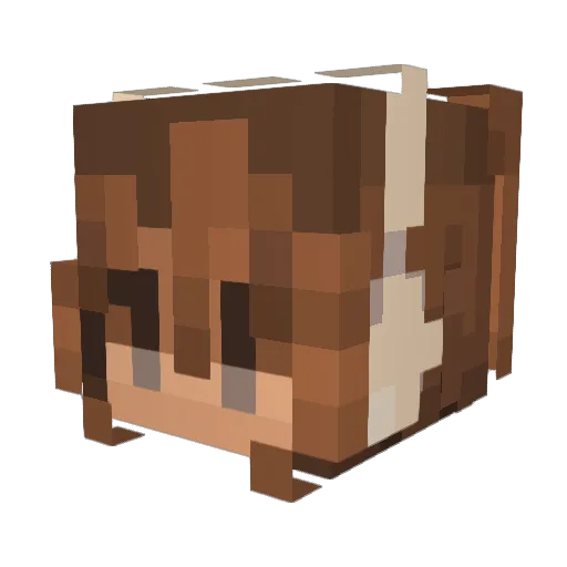 HannahBanana134 Minecraft avatar head, 3D render