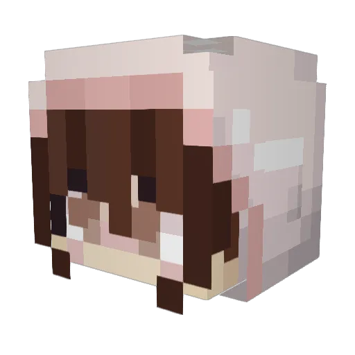 HannahBugzzz Minecraft avatar head, 3D render