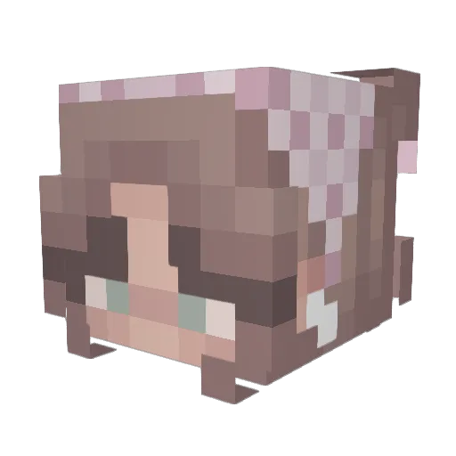 HannahDooodle Minecraft avatar head, 3D render
