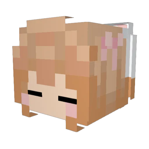 HannahEB16 Minecraft avatar head, 3D render
