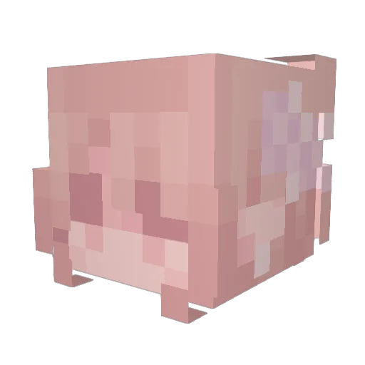 Hannah_1257 Minecraft avatar head, 3D render