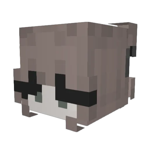 Hannah_44 Minecraft avatar head, 3D render