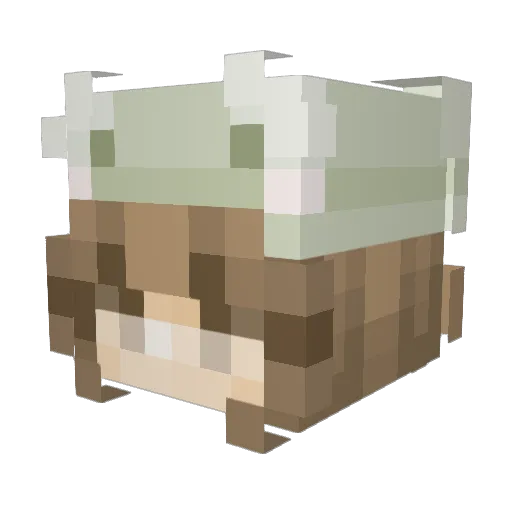 Hannah_Eliz Minecraft avatar head, 3D render