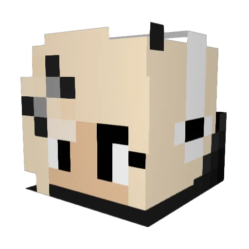 Hannah_nom_nom Minecraft avatar head, 3D render