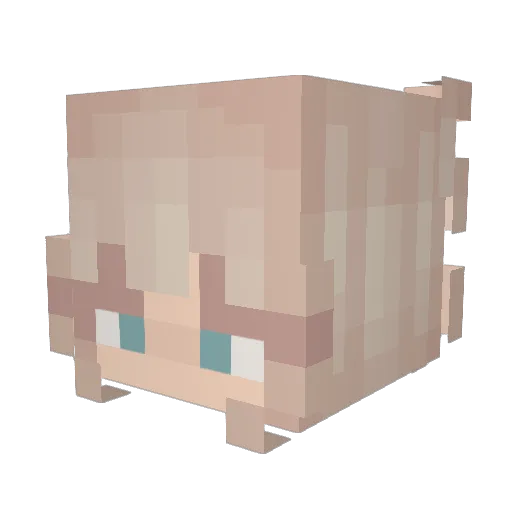 Hannah_zx Minecraft avatar head, 3D render