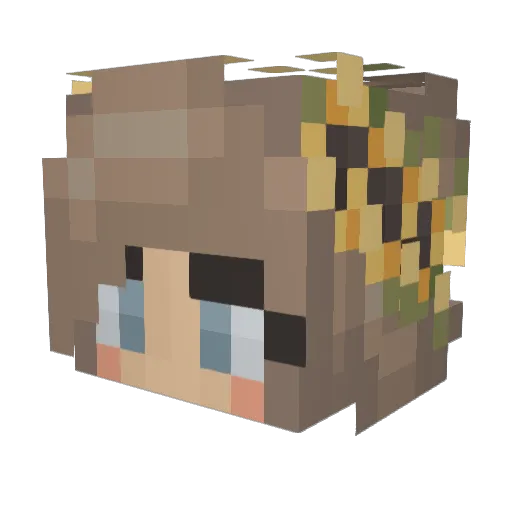 Hannahloool Minecraft avatar head, 3D render