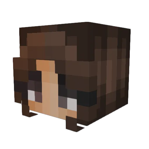 HannakinSolo Minecraft avatar head, 3D render