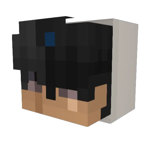 Hannes_2zt Minecraft avatar head, 3D render