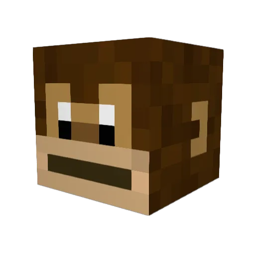 Hannes___XD Minecraft avatar head, 3D render