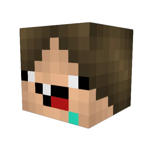 Hannesfx_ Minecraft avatar head, 3D render