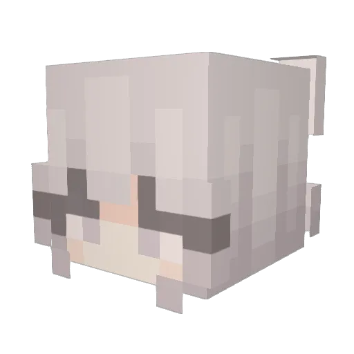 Hanni1808 Minecraft avatar head, 3D render