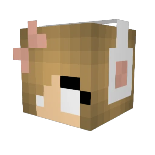 Hanniebug Minecraft avatar head, 3D render