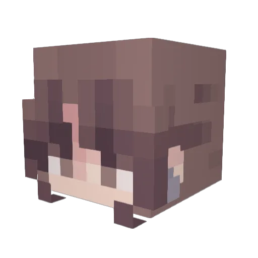 Hannipaula Minecraft avatar head, 3D render