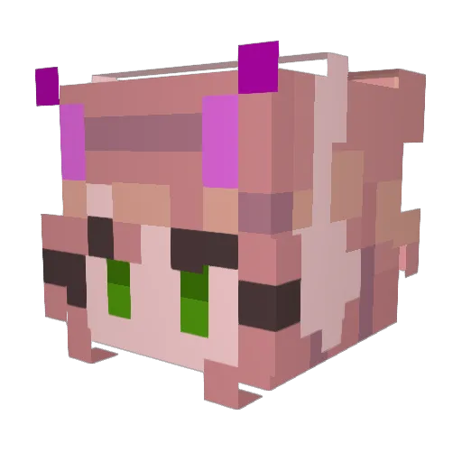 Hannitaxo Minecraft avatar head, 3D render
