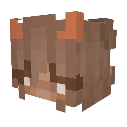 Hanniyay Minecraft avatar head, 3D render