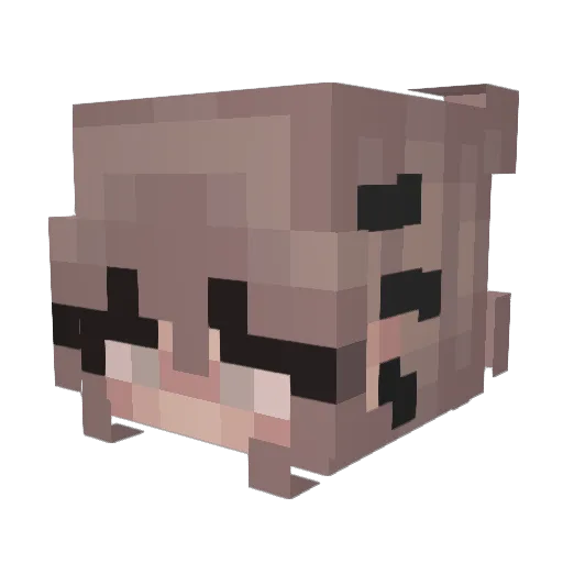 Hannsi Minecraft avatar head, 3D render