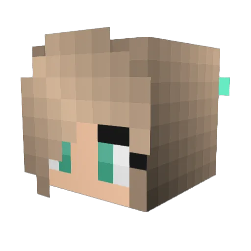 Hans611 Minecraft avatar head, 3D render