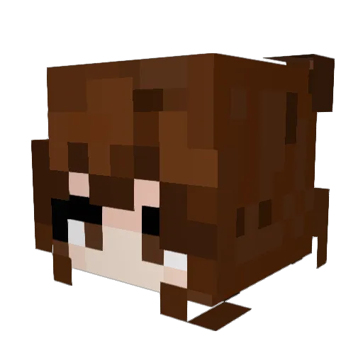 Hans697 Minecraft avatar head, 3D render