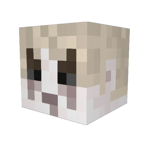 HansNibelung Minecraft avatar head, 3D render
