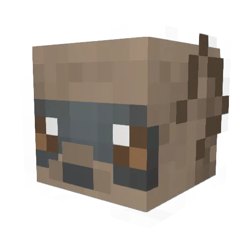 Hans_c Minecraft avatar head, 3D render