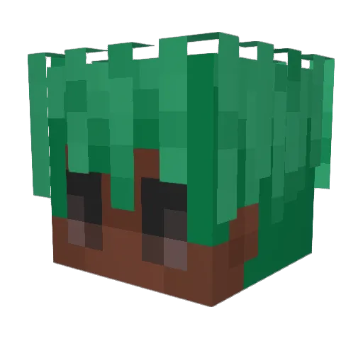 HansenHelly Minecraft avatar head, 3D render