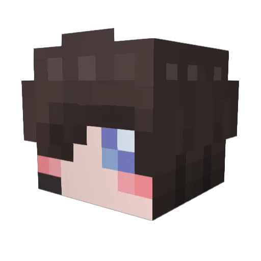 Hanseol Minecraft avatar head, 3D render