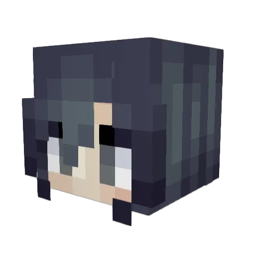 HansoHanso Minecraft avatar head, 3D render
