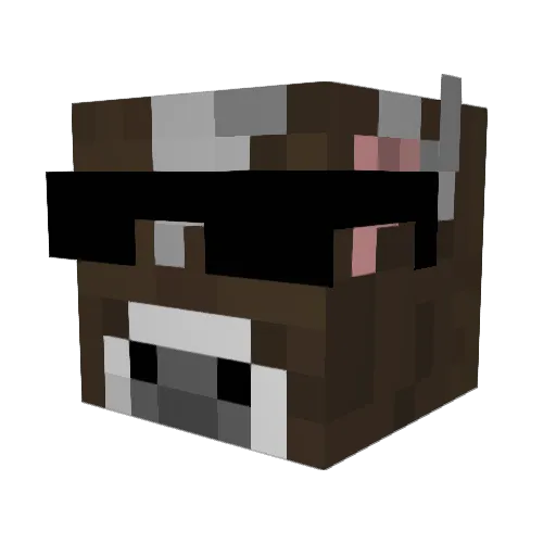 Hanso_og Minecraft avatar head, 3D render