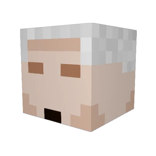 Hansooon69 Minecraft avatar head, 3D render