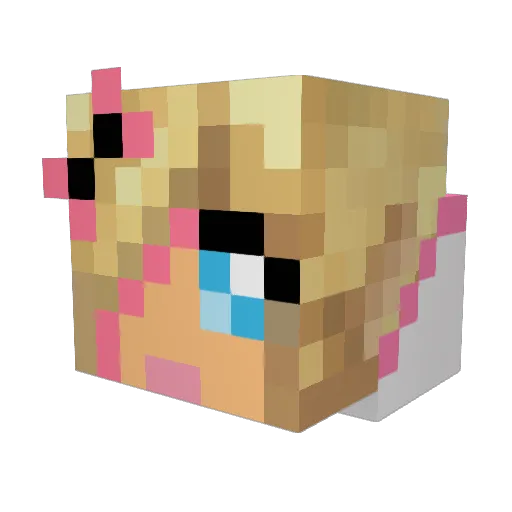 Hansquantch Minecraft avatar head, 3D render