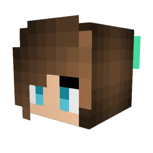 Hansu03 Minecraft avatar head, 3D render