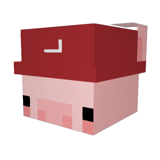 Hanzo_Hoon Minecraft avatar head, 3D render