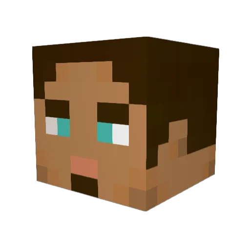 Haploo76 Minecraft avatar head, 3D render