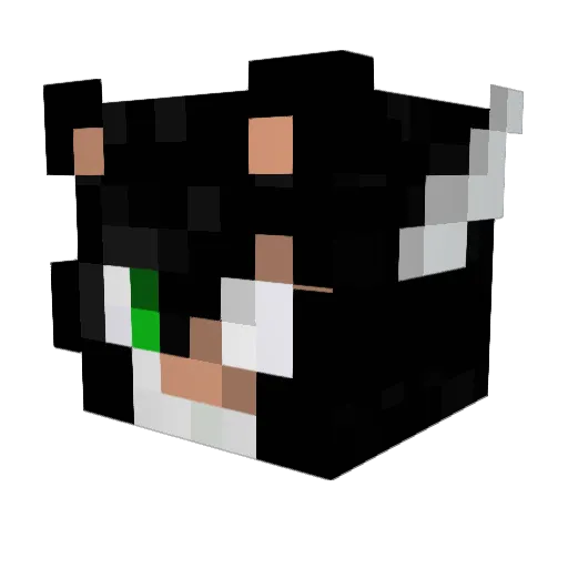Happer_18 Minecraft avatar head, 3D render
