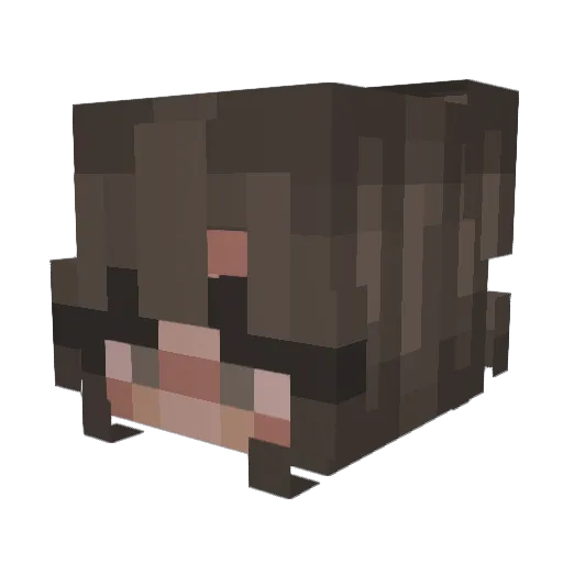 Happy7847 Minecraft avatar head, 3D render