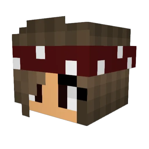 HappyAngi Minecraft avatar head, 3D render