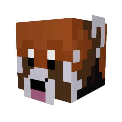 HappyBadger6848 Minecraft avatar head, 3D render