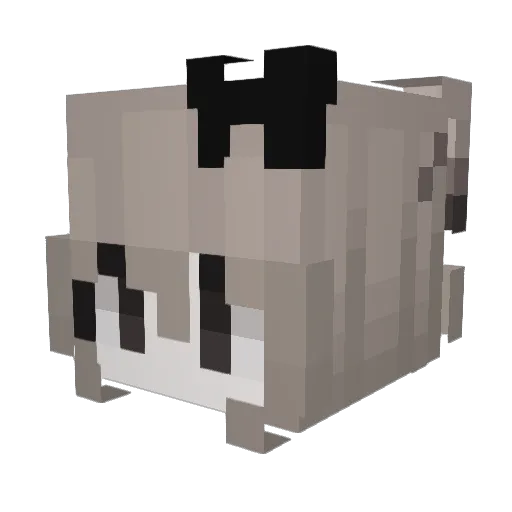 HappyBdaySpeedy Minecraft avatar head, 3D render