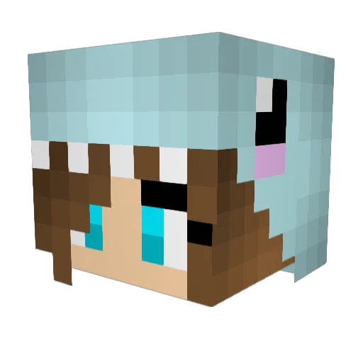 HappyBubbles09 Minecraft avatar head, 3D render
